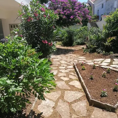 Ana דירה