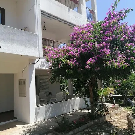 Ana Apartament *